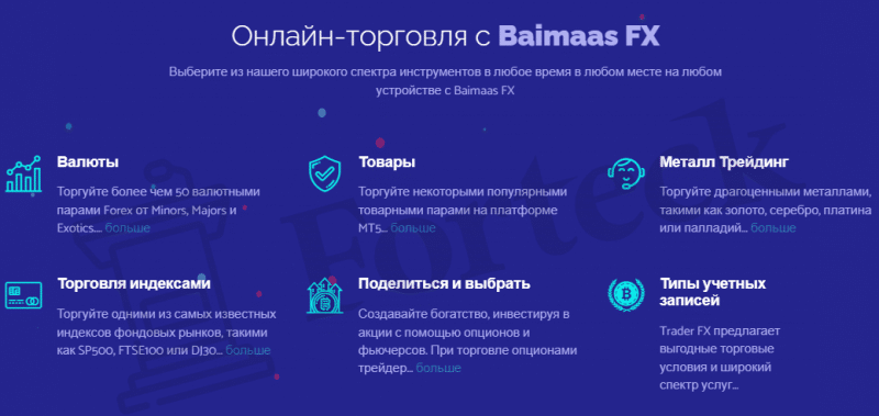 Baimaas FX – свежий лохоброкер в сети