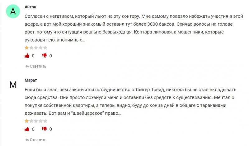 Обзор Tiger Trade (Тайгер Трейд) — трейдинг с умом?