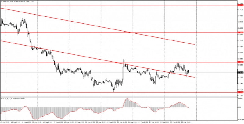 Аналитические обзоры Форекс: Как торговать валютную пару GBP/USD 29 августа. Простые советы и разбор сделок для новичков