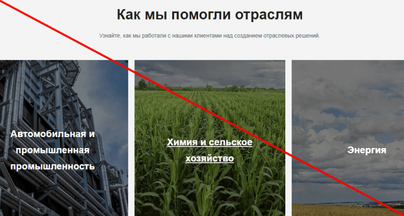 Vitenis com отзывы, Витенис отзывы