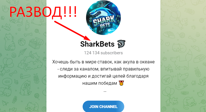Sharkbets отзывы и обзор проекта