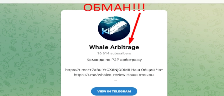 Whale arbitrage отзывы телеграмм канал