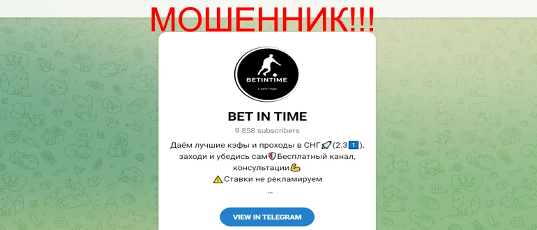 Bet in time телеграмм отзывы