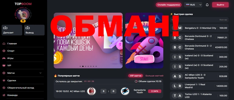 Topboom отзывы о проекте