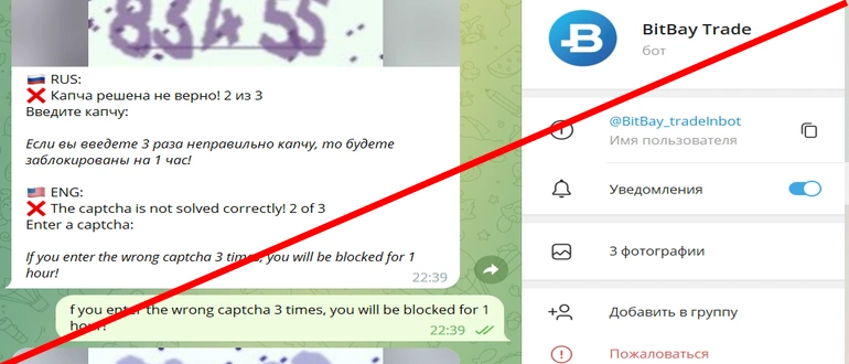 Bitbay trade отзывы телеграмм