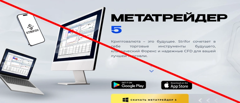 Strifor отзывы и обзор проекта