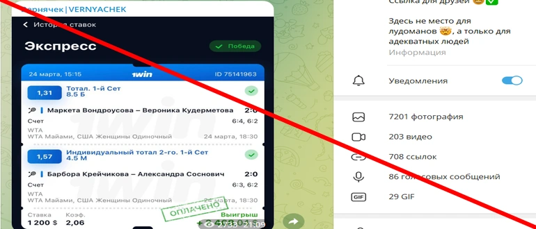 Вернячек отзывы о телеграмм