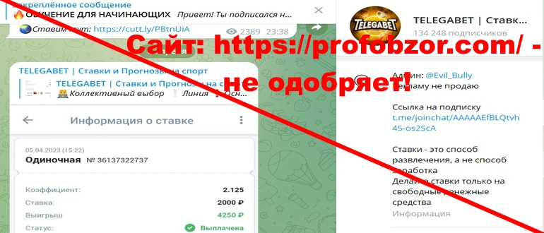 Telegabet отзывы и обзор проекта