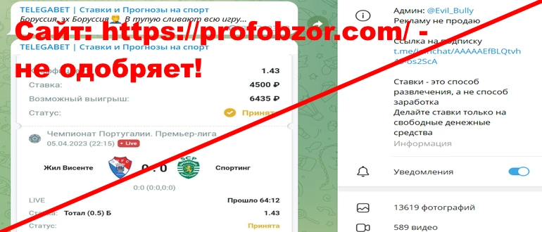 Telegabet отзывы и обзор проекта