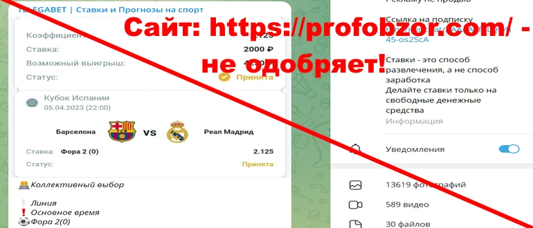 Telegabet отзывы и обзор проекта